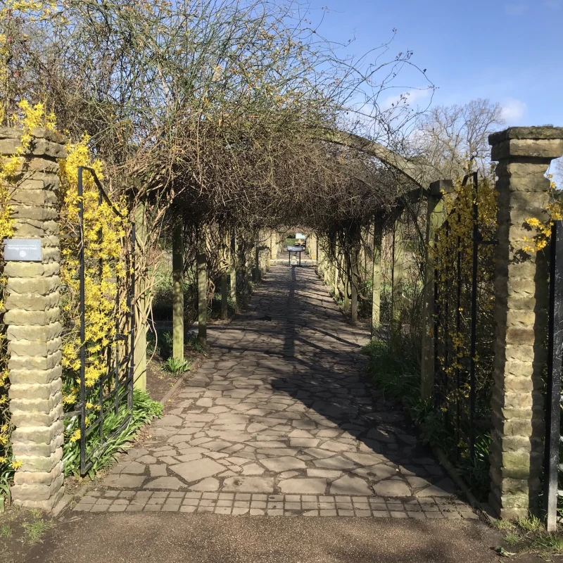 The Sexby Garden, Peckham Rye